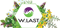 WLast UK Ltd